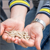 DEPI Online-Lernmodul: Pelletfeuerungen in der Energieberatung